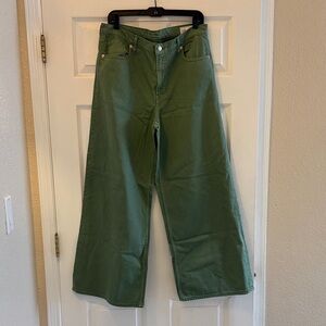 GAP Twig Baggy Ultra Soft Denim Pants in Olive Green